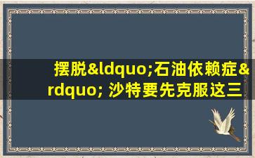 摆脱“石油依赖症” 沙特要先克服这三大挑战